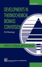 Developments in Thermochemical Biomass Conversion. Vol.1
