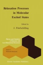 Relaxation Processes in Molecular Excited States