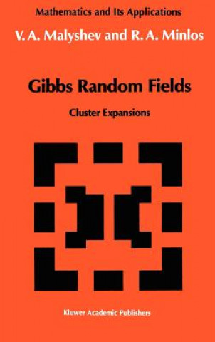 Gibbs Random Fields