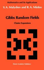 Gibbs Random Fields