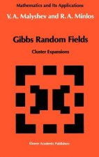 Gibbs Random Fields