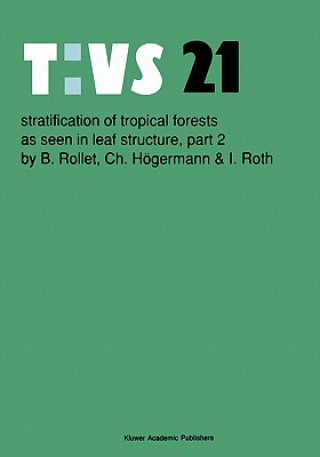 Stratification of tropical forests as seen in leaf structure