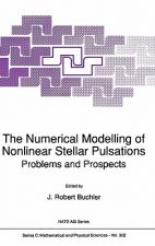 The Numerical Modelling of Nonlinear Stellar Pulsations