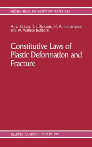 Constitutive Laws of Plastic Deformation and Fracture
