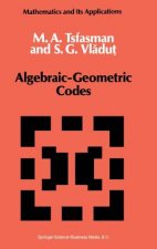 Algebraic-Geometric Codes