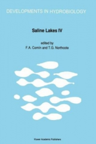 Saline Lakes