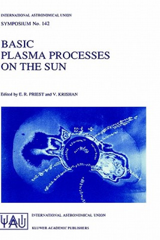 Basic Plasma Processes on the Sun