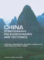 China - Stratigraphy, Paleogeography and Tectonics