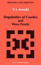 Singularities of Caustics and Wave Fronts