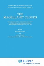 The Magellanic Clouds