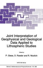 Joint Interpretation of Geophysical and Geological Data Applied to Lithospheric Studies
