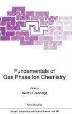 Fundamentals of Gas Phase Ion Chemistry