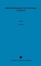 Phenomenology of Natural Science