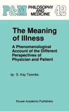Meaning of Illness