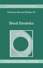Shock Dynamics