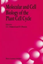 Molecular and Cell Biology of the Plant Cell Cycle