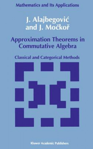 Approximation Theorems in Commutative Algebra