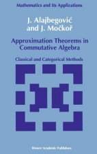 Approximation Theorems in Commutative Algebra