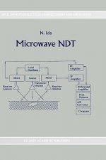 Microwave NDT