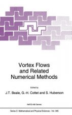 Vortex Flows and Related Numerical Methods