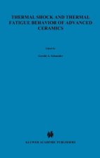 Thermal Shock and Thermal Fatigue Behavior of Advanced Ceramics