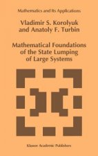 Mathematical Foundations of the State Lumping of Large Systems