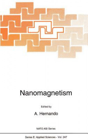 Nanomagnetism