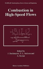 Combustion in High-Speed Flows