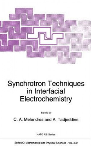 Synchrotron Techniques in Interfacial Electrochemistry