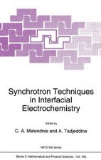 Synchrotron Techniques in Interfacial Electrochemistry