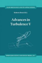 Advances in Turbulence V