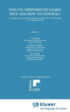 Non-CO2 Greenhouse Gases: Why and How to Control?