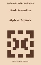 Algebraic K-Theory