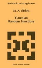 Gaussian Random Functions