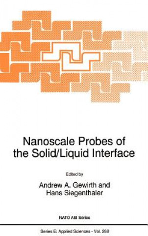 Nanoscale Probes of the Solid/Liquid Interface