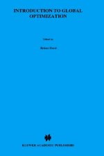 Introduction to Global Optimization