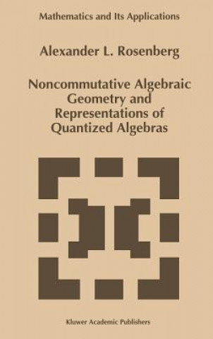 Noncommutative Algebraic Geometry and Representations of Quantized Algebras