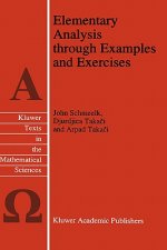 Elementary Analysis through Examples and Exercises