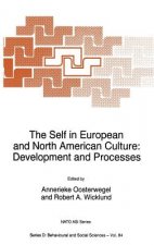 Self in European and North American Culture