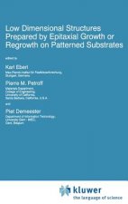 Low Dimensional Structures Prepared by Epitaxial Growth or Regrowth on Patterned Substrates