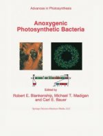 Anoxygenic Photosynthetic Bacteria, 2 Teile