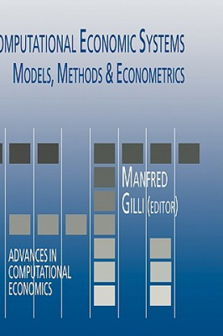 Computational Economic Systems