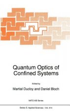 Quantum Optics of Confined Systems