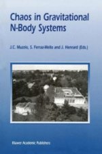Chaos in Gravitational N-Body Systems