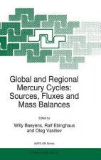Global and Regional Mercury Cycles: Sources, Fluxes and Mass Balances