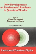 New Developments on Fundamental Problems in Quantum Physics