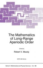 The Mathematics of Long-Range Aperiodic Order