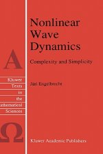 Nonlinear Wave Dynamics