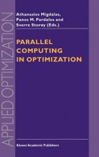 Parallel Computing in Optimization