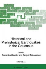 Historical and Prehistorical Earthquakes in the Caucasus